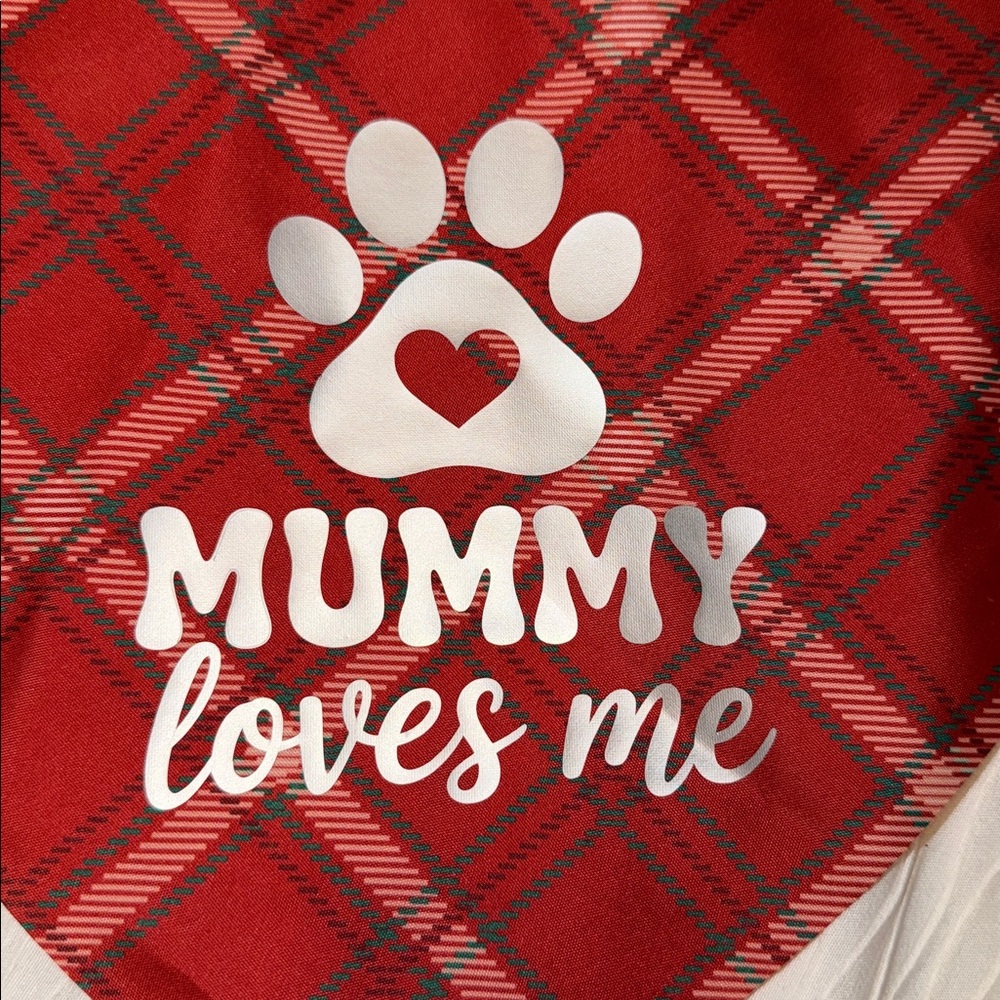 Cat/Dog/Pet Easter Bandana **NEW**